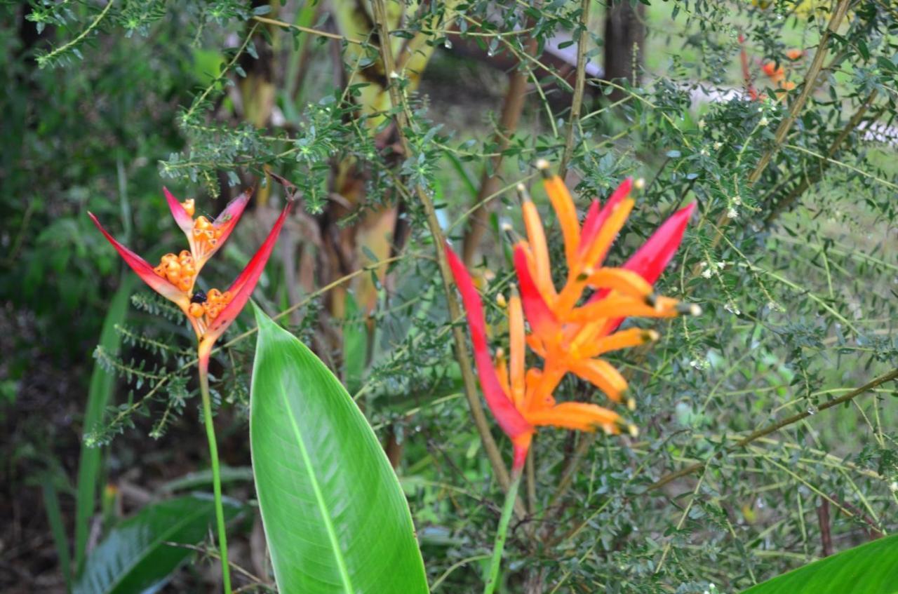 Chale Aconchegante, Pertinho Da Cidade E Conectada A Natureza Бразиліа Екстер'єр фото